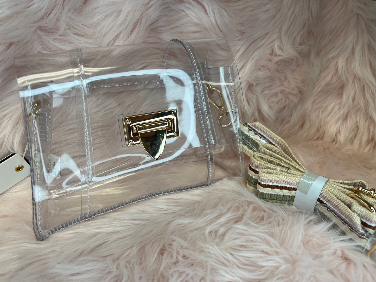 Clear Crossbody Bag with Gold Closure