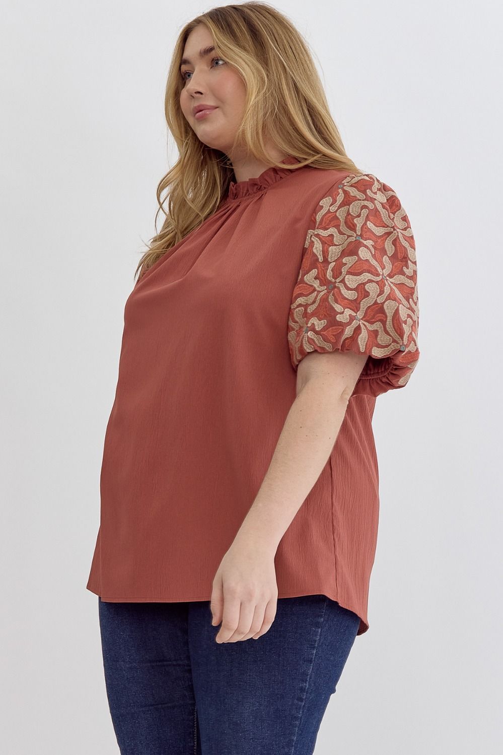 Cinnamon Top with Contrasting Sleeves